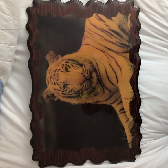 Gorgeous Large Wooden Tiger Plak with Sculpted Sides - Picture 2 of 6
